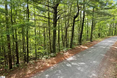 430 Lakeview Drive, Saluda, NC 28773 - Photo 16