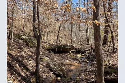 199 Johns Mill Road, Westminster, SC 29693 - Photo 8