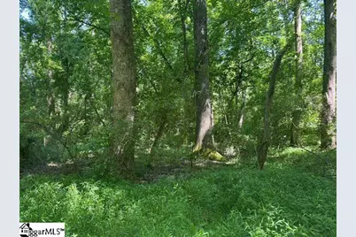 Berry Shoals Road, Duncan, SC 29334 - Photo 12