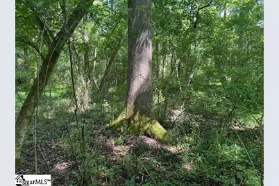 Berry Shoals Road, Duncan, SC 29334 - Photo 2