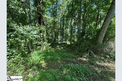 Berry Shoals Road, Duncan, SC 29334 - Photo 8