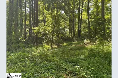 Berry Shoals Road, Duncan, SC 29334 - Photo 4