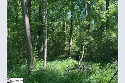 Berry Shoals Road, Duncan, SC 29334 - Photo 6