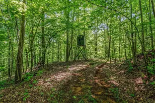 980 Mountain Forest Dr, Union Mills, NC 28167 - Photo 34