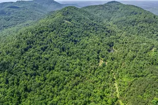 980 Mountain Forest Dr, Union Mills, NC 28167 - Photo 40