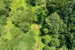 955 Bramlett Rd, Laurens, SC 29360 - Photo 44