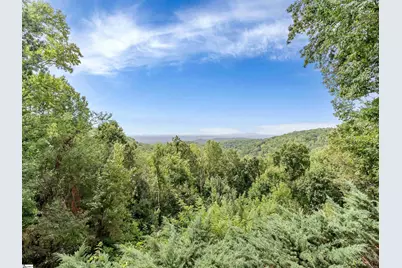 114 High Rock Ridge Drive, Landrum, SC 29356 - Photo 20