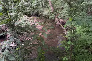 128 Willys Creek Cir, Pickens, SC 29671 - Photo 46