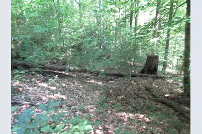 00 Gauley Falls Road #Lot 13 Gauley Falls, Pickens, SC 29671 - Photo 2