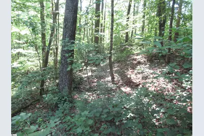 00 Gauley Falls Road #Lot 13 Gauley Falls, Pickens, SC 29671 - Photo 10