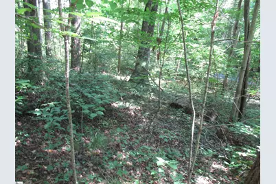 00 Gauley Falls Road #Lot 13 Gauley Falls, Pickens, SC 29671 - Photo 1