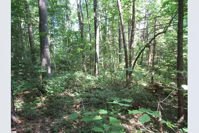 00 Gauley Falls Road #Lot 13 Gauley Falls, Pickens, SC 29671 - Photo 18