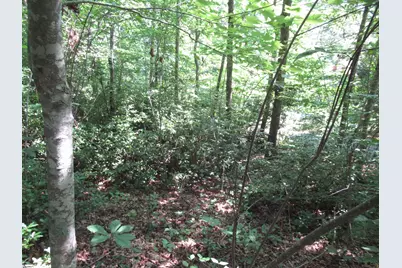 00 Gauley Falls Road #Lot 15 Gauley Falls, Pickens, SC 29671 - Photo 6