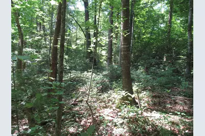 00 Gauley Falls Road #Lot 15 Gauley Falls, Pickens, SC 29671 - Photo 20