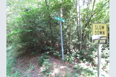 00 Gauley Falls Road #Lot 15 Gauley Falls, Pickens, SC 29671 - Photo 10