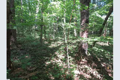 00 Gauley Falls Road #Lot 15 Gauley Falls, Pickens, SC 29671 - Photo 16