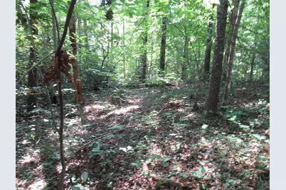 00 Gauley Falls Road #Lot 15 Gauley Falls, Pickens, SC 29671 - Photo 2