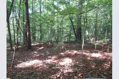 205 Gauley Falls Road, Pickens, SC 29671 - Photo 20