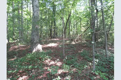 205 Gauley Falls Road, Pickens, SC 29671 - Photo 10