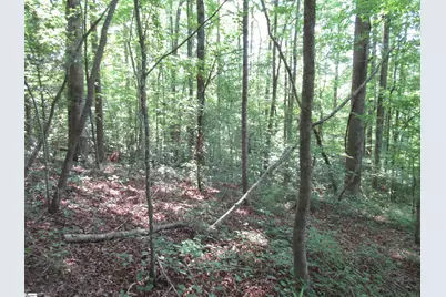 205 Gauley Falls Road, Pickens, SC 29671 - Photo 12