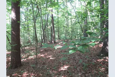 205 Gauley Falls Road, Pickens, SC 29671 - Photo 6