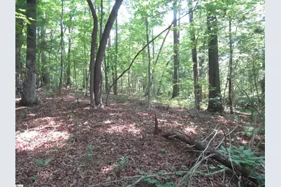 205 Gauley Falls Road, Pickens, SC 29671 - Photo 14