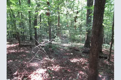 205 Gauley Falls Road, Pickens, SC 29671 - Photo 4