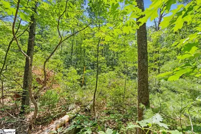 14 Alsace Way, Travelers Rest, SC 29690 - Photo 8