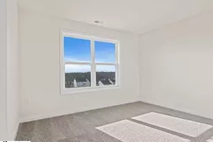 237 Paperbark Dr, Greenville, SC 29607 - Photo 20