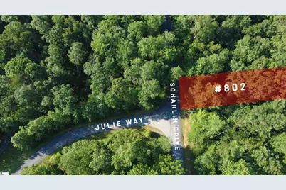 802 Scharlin Drive, Pickens, SC 29671 - Photo 8