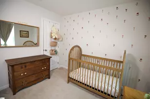 234 Coldwater Creek Ct, Simpsonville, SC 29680 - Photo 20