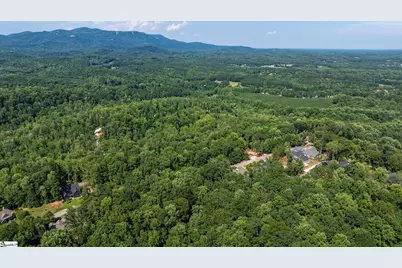 317 Laurel Valley Way, Travelers Rest, SC 29690 - Photo 8