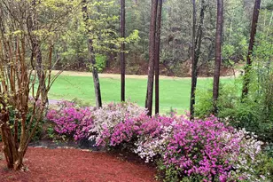 6 Twin Oaks Ct, Spartanburg, SC 29306 - Photo 50