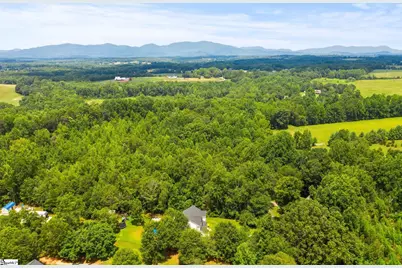 299 Nodine Road, Campobello, SC 29322 - Photo 44