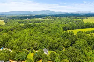 299 Nodine Rd, Campobello, SC 29322 - Photo 44