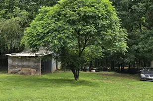 1044 Elliott Rd, Rutherfordton, NC 28139 - Photo 28