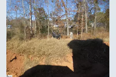 118 Rickys Path, Easley, SC 29642 - Photo 24