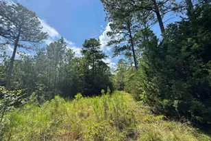 1324 Hwy 81 N, Calhoun Falls, SC 29628 - Photo 22