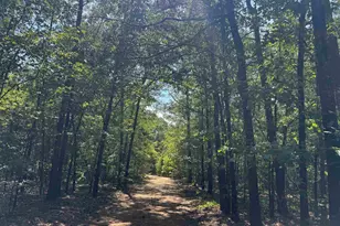 1324 Hwy 81 N, Calhoun Falls, SC 29628 - Photo 12