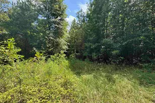 1324 Hwy 81 N, Calhoun Falls, SC 29628 - Photo 26