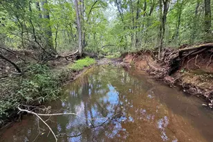 1324 Hwy 81 N, Calhoun Falls, SC 29628 - Photo 34