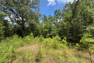 1324 Hwy 81 N, Calhoun Falls, SC 29628 - Photo 14