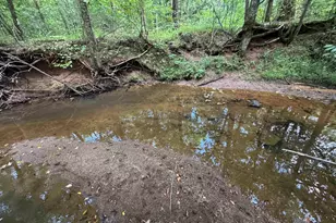 1324 Hwy 81 N, Calhoun Falls, SC 29628 - Photo 32