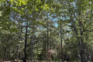 1324 Hwy 81 N, Calhoun Falls, SC 29628 - Photo 10