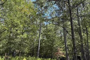 1324 Hwy 81 N, Calhoun Falls, SC 29628 - Photo 8