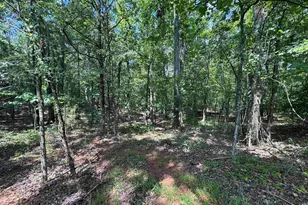1324 Hwy 81 N, Calhoun Falls, SC 29628 - Photo 18