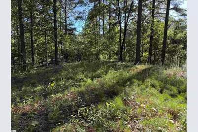 527 Brookgreen Trail, Salem, SC 29676 - Photo 4