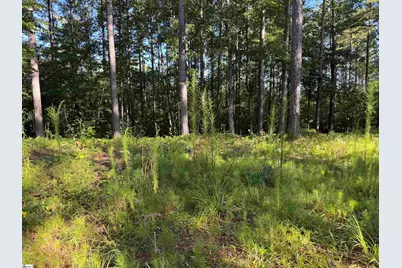 527 Brookgreen Trail, Salem, SC 29676 - Photo 1