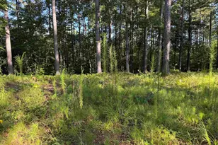 527 Brookgreen Trail, Salem, SC 29676 - Photo 1