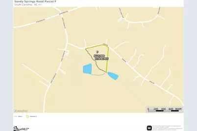 142 Snow Road, Pelzer, SC 29669 - Photo 38